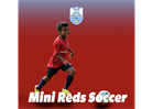 Mini Reds Soccer Registration now open!